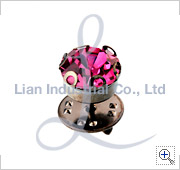 pin