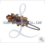 HCL09